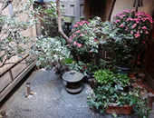 eel restaurant�uKIYOKAWA�iKIYOKAWA�j�v